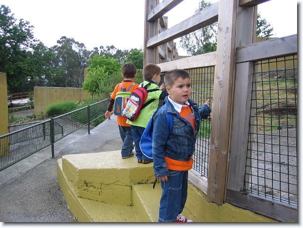 Diapositiva siguiente